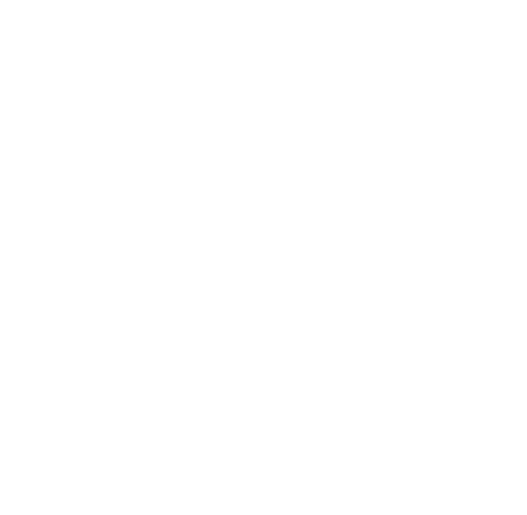 Guild of Irish Whiskey